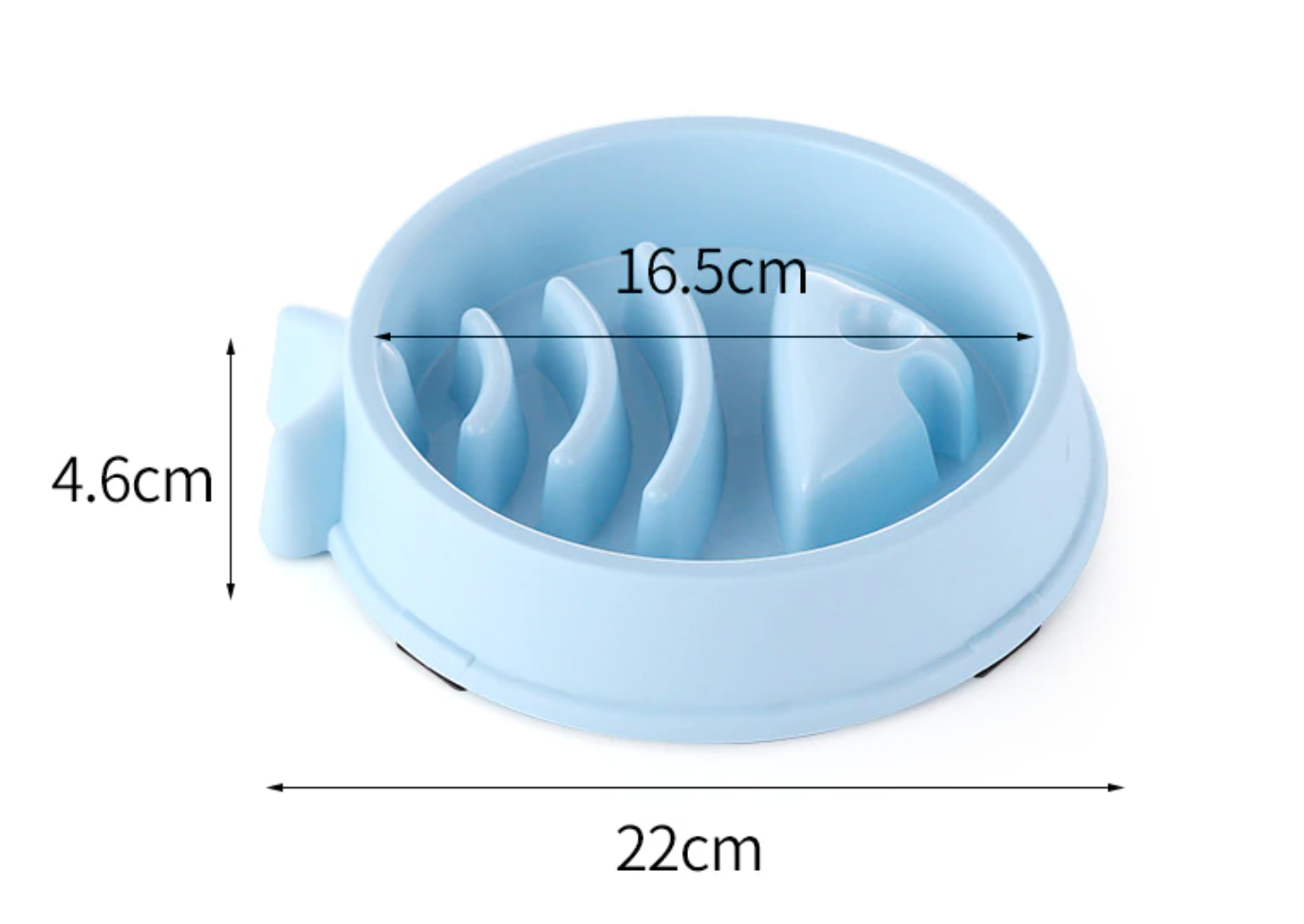 Poisson - Bol Interactif