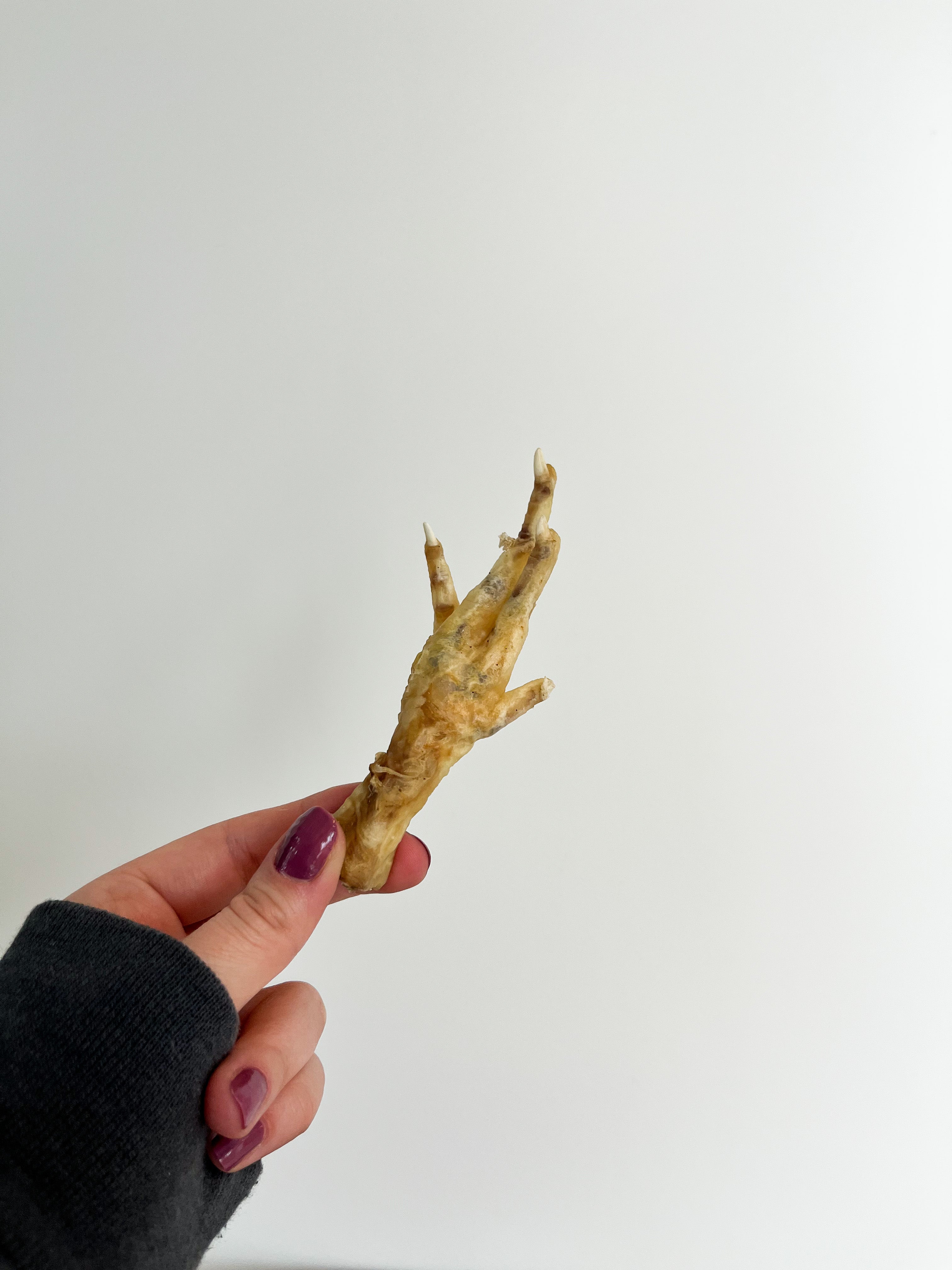 Bristol Novelty - Paire De Pattes De Poulet Pour Déguisement