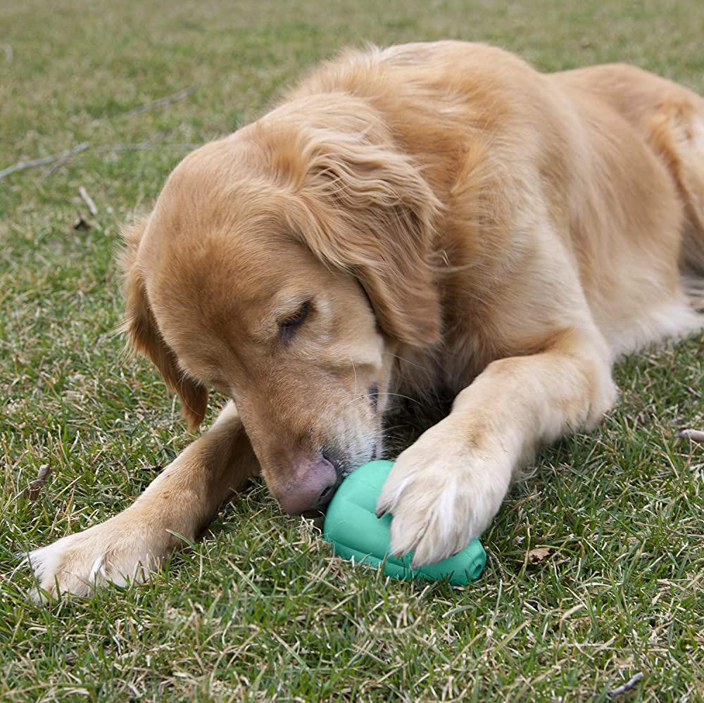 Chew King - Jouet distributeur
